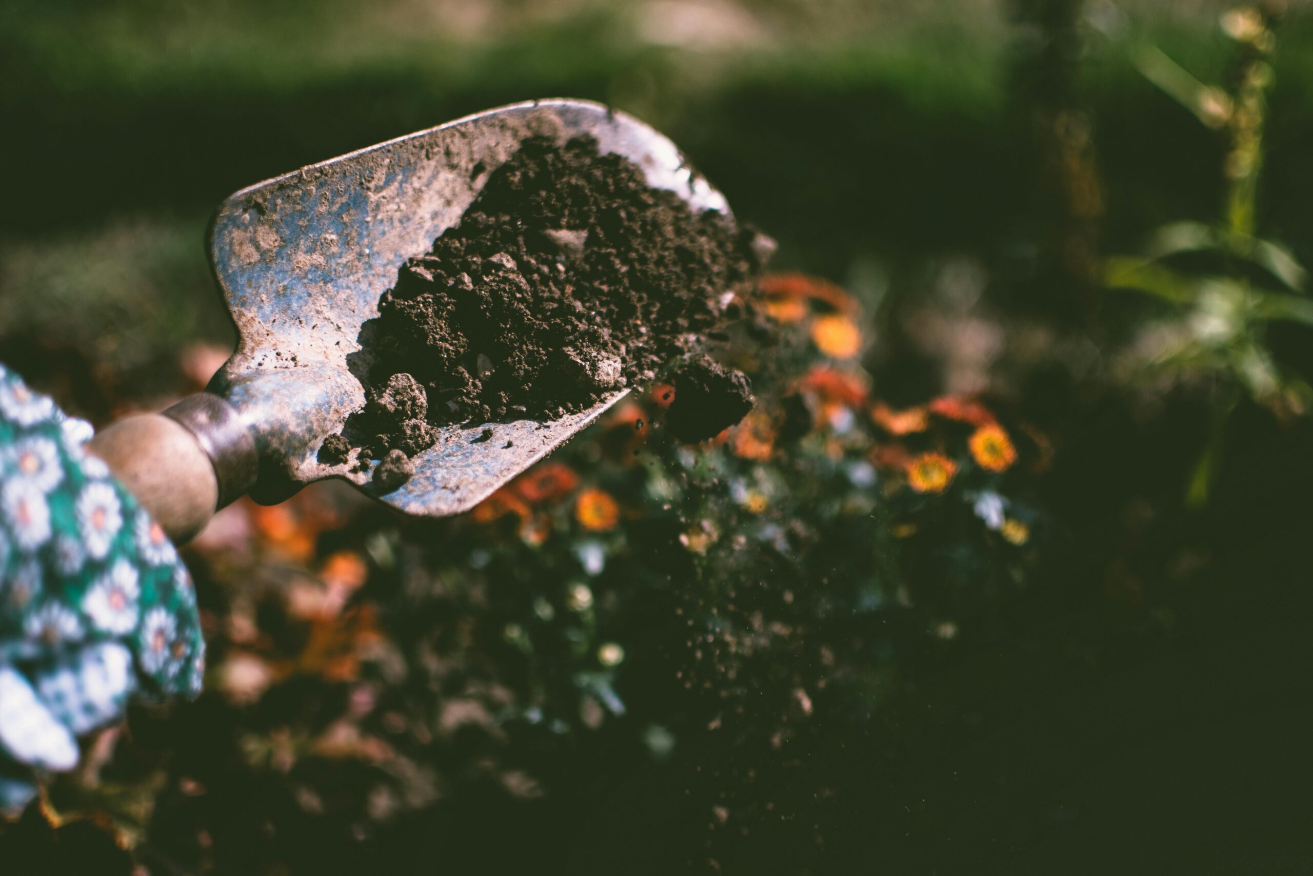 Soil Secrets: The #1 Thing Beginners MUST Get Right.